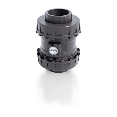 SXEGV - Easyfit True Union ball and spring check valve DN 65:100